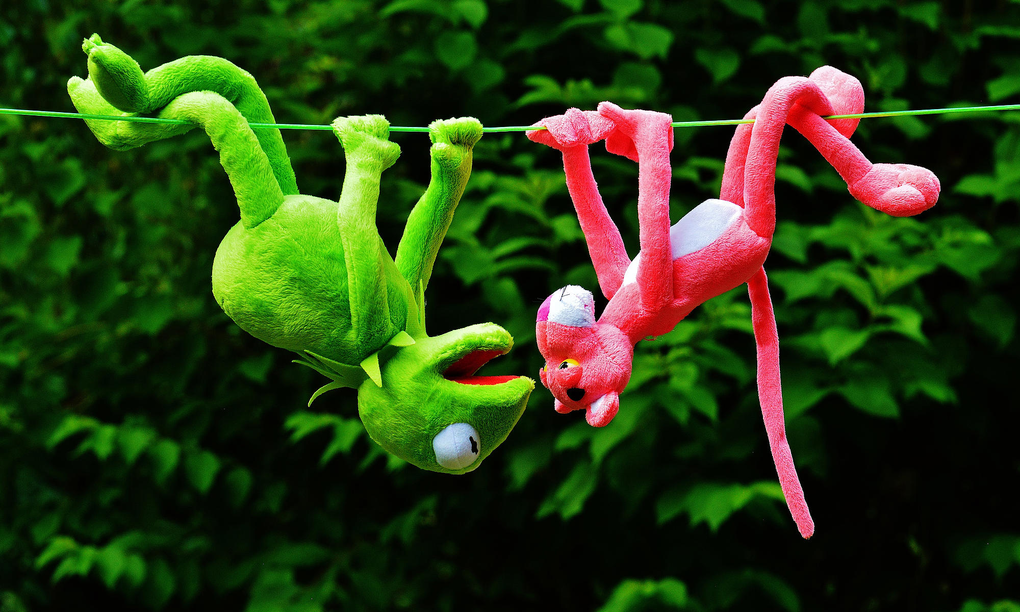 Hanging out ©pixabay / Alexas_Fotos